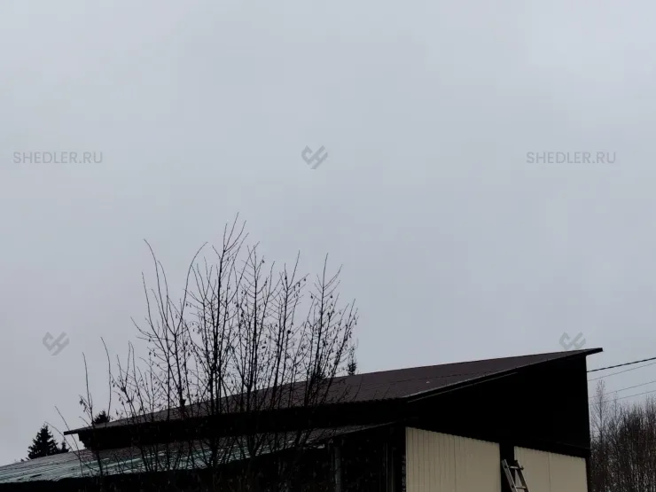 Жилой дом с односкатной крышей